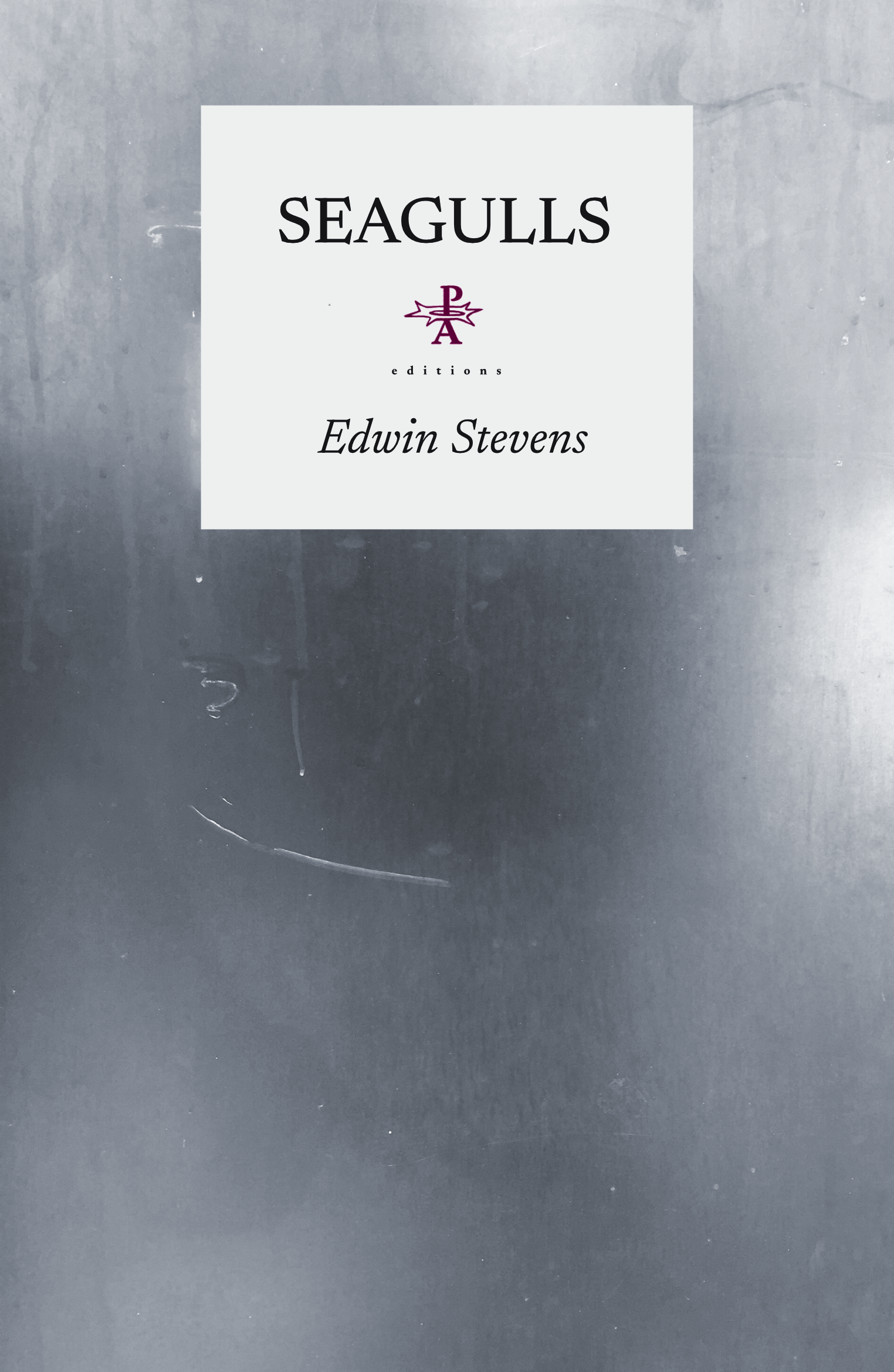 Seagulls- Edwin Stevens